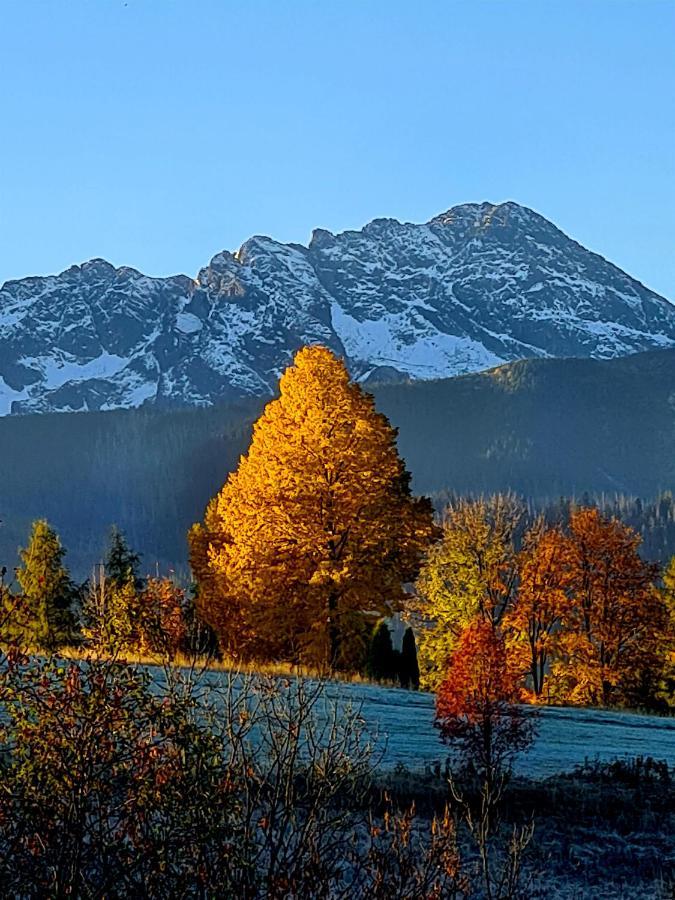 Apartamenty Skalna Chata Zakopane Exterior foto